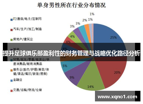 提升足球俱乐部盈利性的财务管理与战略优化路径分析