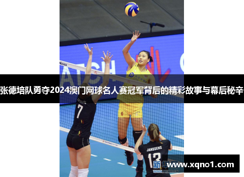 张德培队勇夺2024澳门网球名人赛冠军背后的精彩故事与幕后秘辛