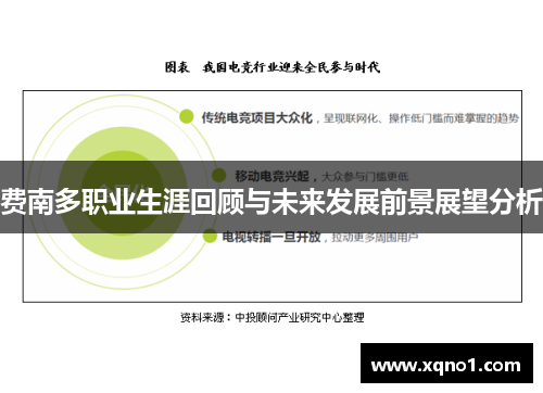 费南多职业生涯回顾与未来发展前景展望分析